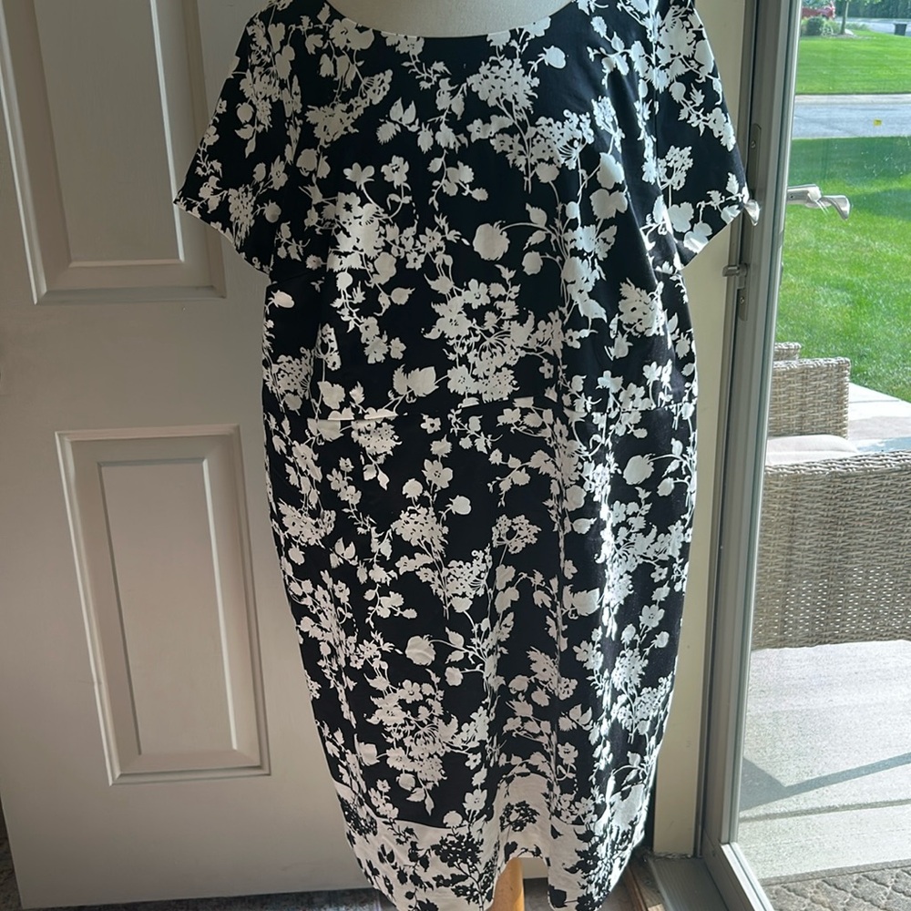 NWT Talbots Black and White Floral Dress SZ 22wp.